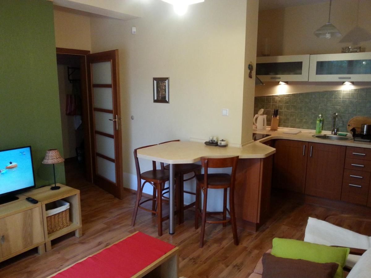 Апартаменты Apartament M Поляница-Здруй-13