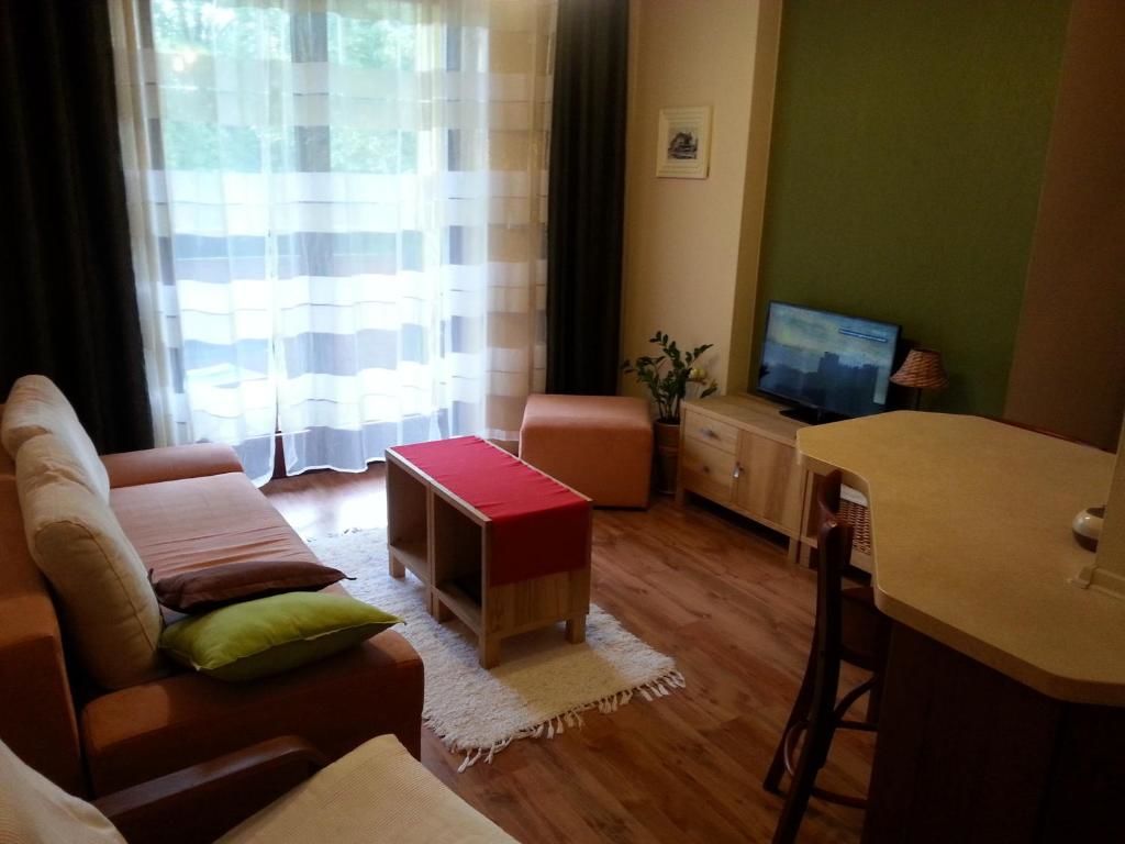 Апартаменты Apartament M Поляница-Здруй-23