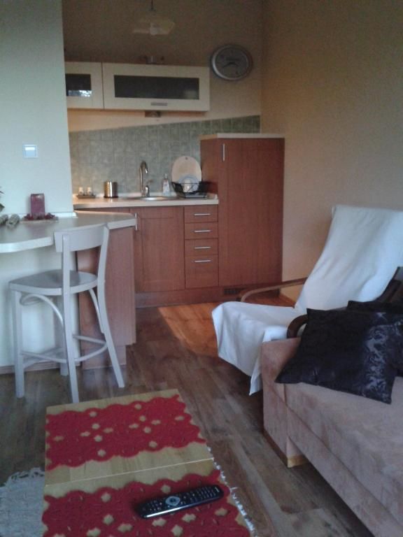 Апартаменты Apartament M Поляница-Здруй-36