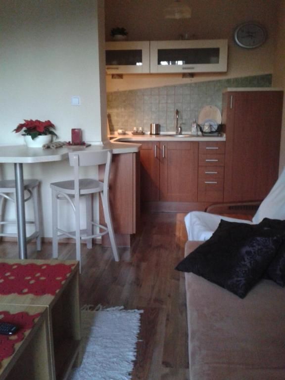 Апартаменты Apartament M Поляница-Здруй-37